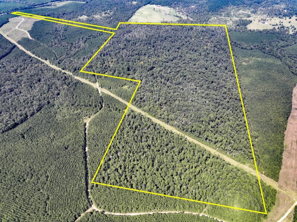 205 Acres Highway 59 featured image