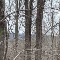 REDUCED 7.5 Acre Tract 1 on Whitmire Church Road images 2