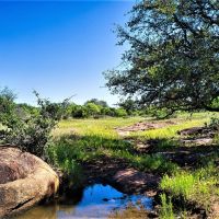 91.5 Acre GS Ranch Tract 2 images 5