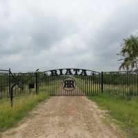 New Property