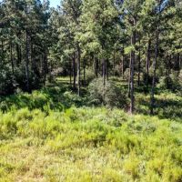 00 Trinlady Park Road Trinity TX 75862