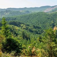 Upstream Timber and Cattle Ranch images 2