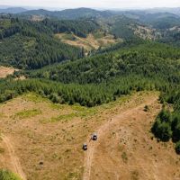 Upstream Timber and Cattle Ranch images 3