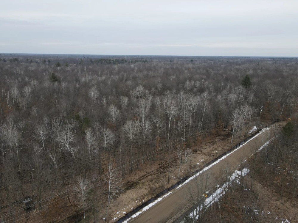 Michigan Hunting and Recreational Land for Sale featured image