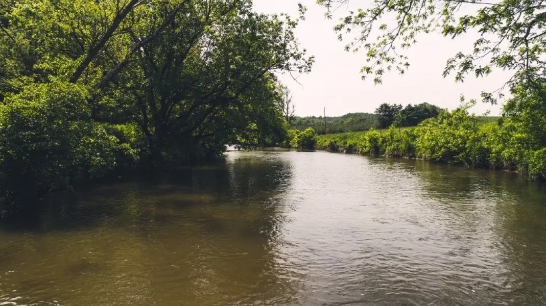 62 Acres of Prime Riverfront Farmland For Sale in Floyd Virgina