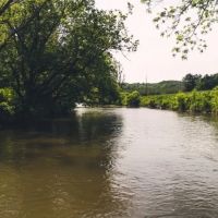 62 Acres of Prime Riverfront Farmland For Sale in Floyd Virgina images 2