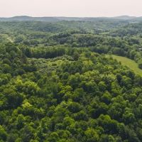 62 Acres of Prime Riverfront Farmland For Sale in Floyd Virgina images 5