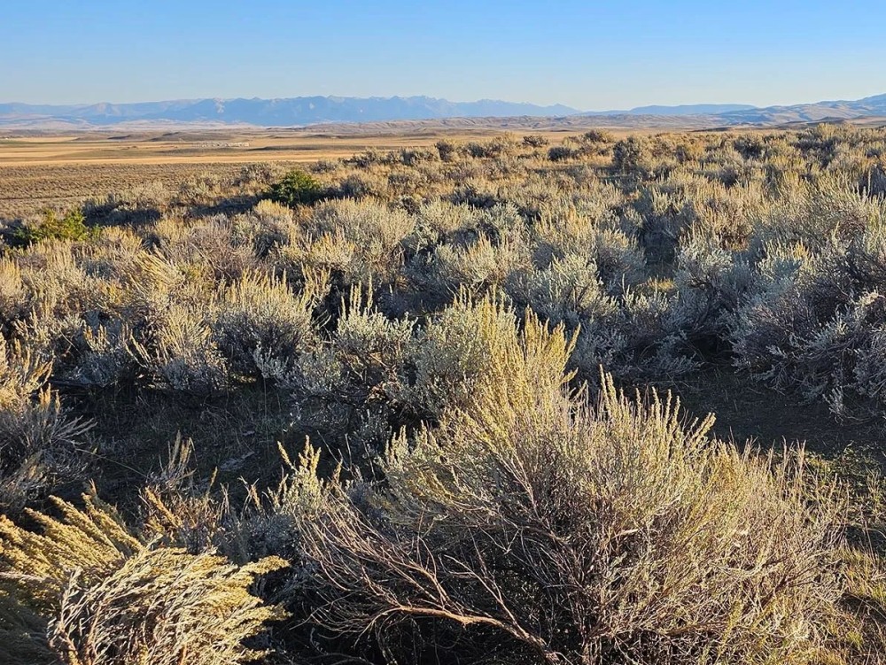 Shields Valley View Ranch featured image
