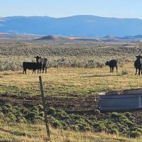 Shields Valley View Ranch images 2