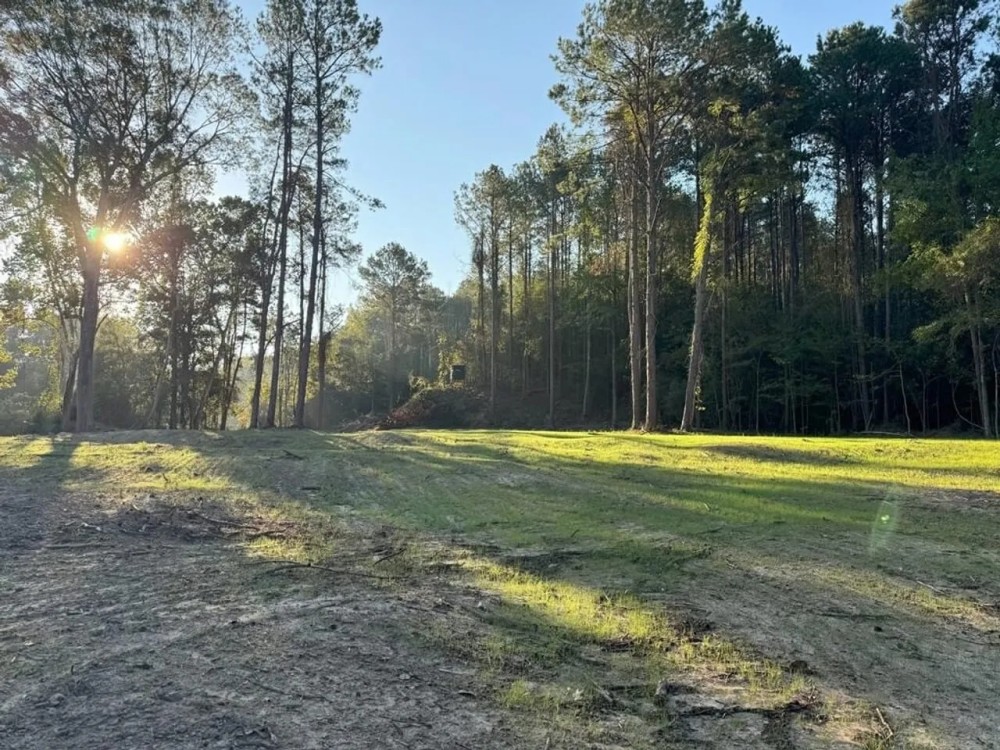 296 Acre Timberland for Sale with Creek Southwest MS featured image