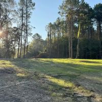 296 Acre Timberland for Sale with Creek Southwest MS