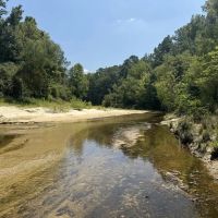 296 Acre Timberland for Sale with Creek Southwest MS images 2