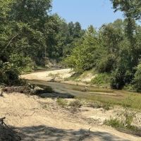 296 Acre Timberland for Sale with Creek Southwest MS images 3