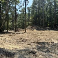 296 Acre Timberland for Sale with Creek Southwest MS images 5