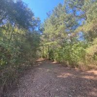33 acres- Mature Timber- Salem School District images 5