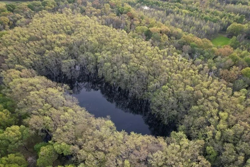 396 Acres in Leflore County in Greenwood MS featured image