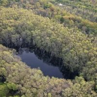 396 Acres in Leflore County in Greenwood MS images 1