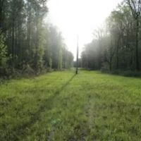 396 Acres in Leflore County in Greenwood MS images 4