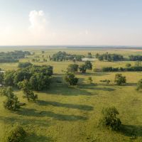 McCurtain 260 images 5