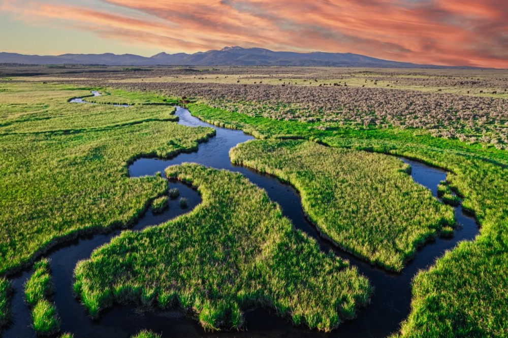 Ice House Creek Ranch featured image