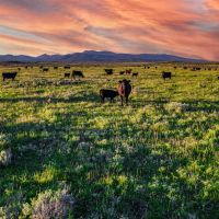 Ice House Creek Ranch images 2