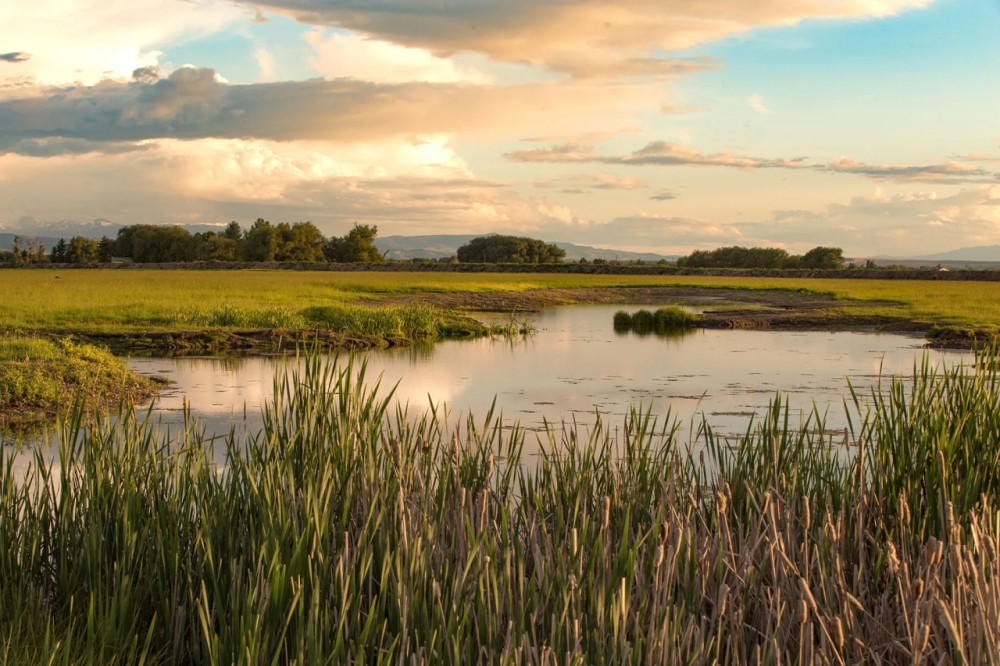 Story Creek Preserve featured image