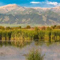 Story Creek Preserve images 5