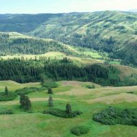 Branch Keyhole Ranch