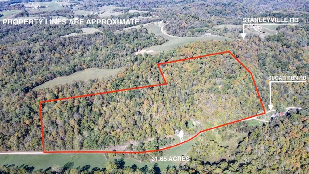 Sugar Run Rd - 31 acres - Washington County featured image