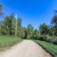 Sugar Run Rd - 31 acres - Washington County images 4