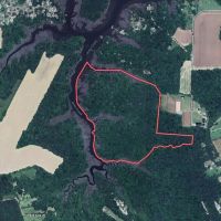 92.263 Acres of Residential Recreational and Timber Land For Sale in Isle of Wight County VA