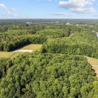92.263 Acres of Residential Recreational and Timber Land For Sale in Isle of Wight County VA images 2