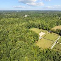 92.263 Acres of Residential Recreational and Timber Land For Sale in Isle of Wight County VA images 3