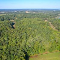 92.263 Acres of Residential Recreational and Timber Land For Sale in Isle of Wight County VA images 4