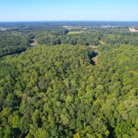 92.263 Acres of Residential Recreational and Timber Land For Sale in Isle of Wight County VA images 5
