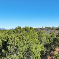 40 Acres in GMU 62