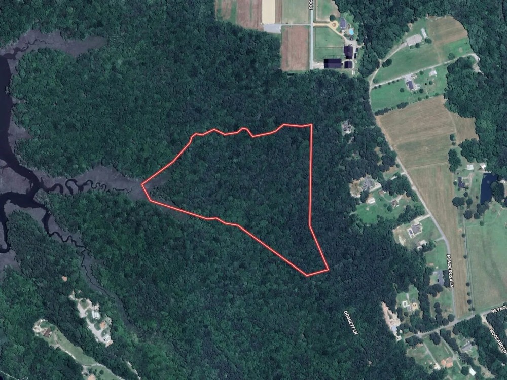 20.983 Acres of Residential Recreational and Timber Land For Sale in Isle of Wight County VA featured image