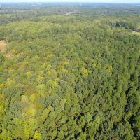 20.983 Acres of Residential Recreational and Timber Land For Sale in Isle of Wight County VA images 2