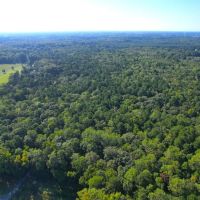 20.983 Acres of Residential Recreational and Timber Land For Sale in Isle of Wight County VA images 3