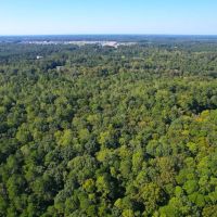 20.983 Acres of Residential Recreational and Timber Land For Sale in Isle of Wight County VA images 4