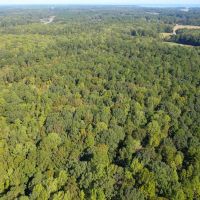 20.983 Acres of Residential Recreational and Timber Land For Sale in Isle of Wight County VA images 5