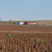 288.72 Acres Carpenter GPA Deer Hunting Land in Lyman, SD