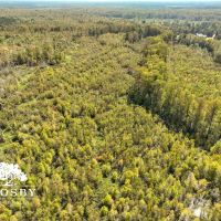 Lemon Creek images 2