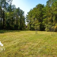 Lemon Creek images 3