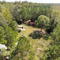 Lemon Creek images 4
