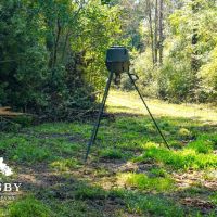 Lemon Creek images 5
