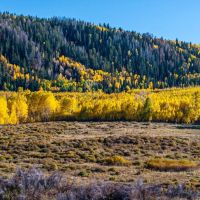 Buckhorn Lakes Ranch images 4