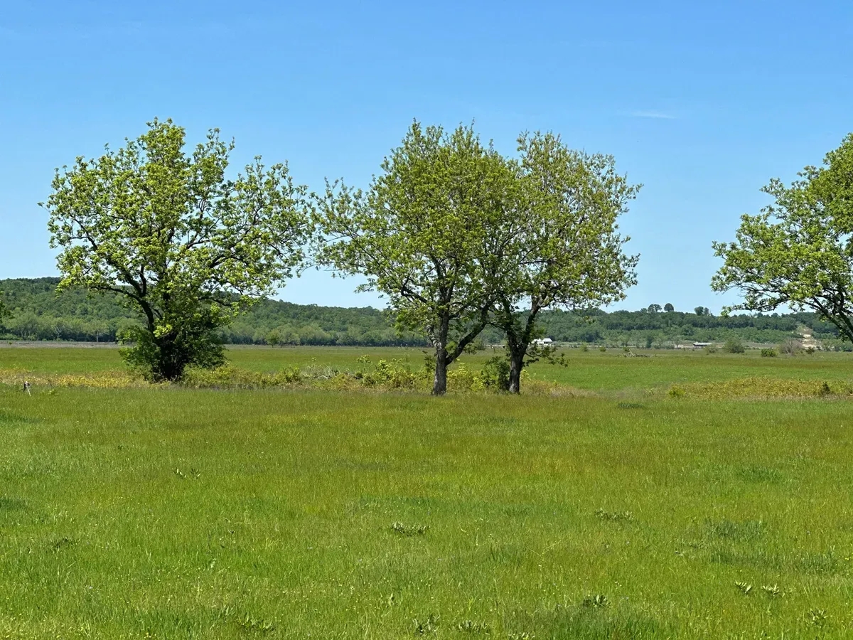 990 - Acres Horton Cattle Ranch Holdenville OK - Hunting Land for Sale ...