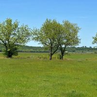 990 - Acres Horton Cattle Ranch Holdenville OK images 3