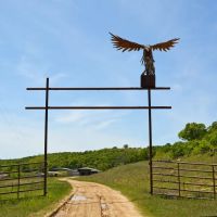 990 - Acres Horton Cattle Ranch Holdenville OK images 5